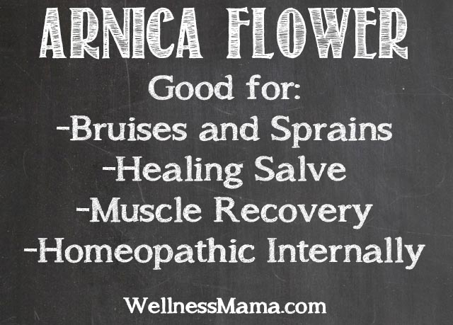 Arnica for muscle recovery and healing