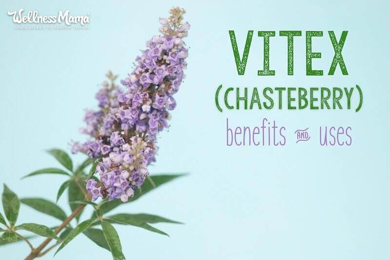 Vitex (Chasteberry) Herb Benefits & Uses for Women