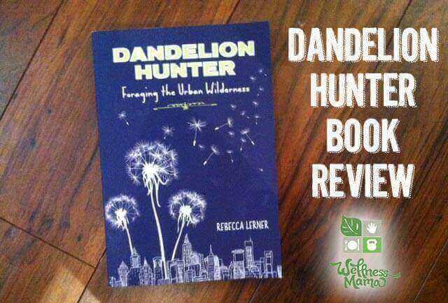 Dandelion Hunter Book Review