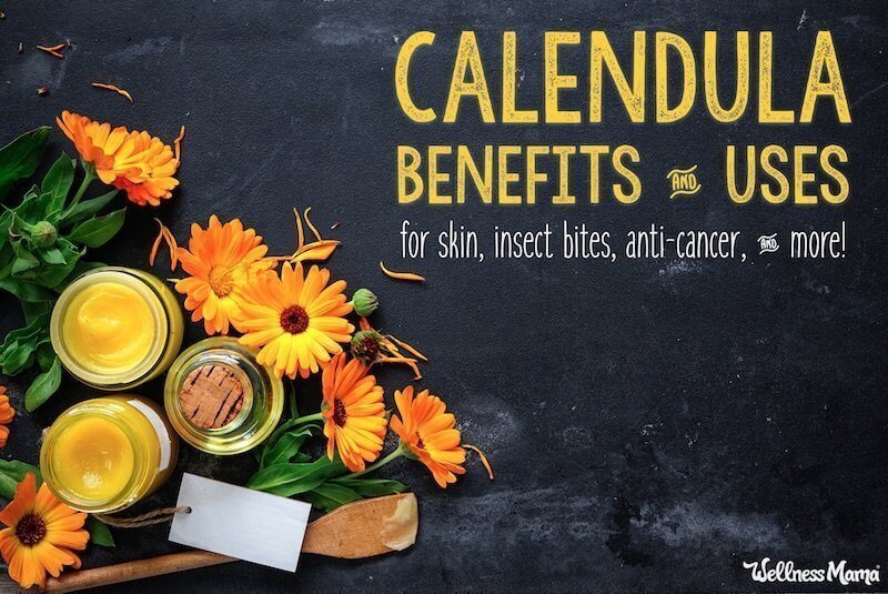 Calendula Benefits & Uses for Skin, Insect Bites, Anti-Cancer & More