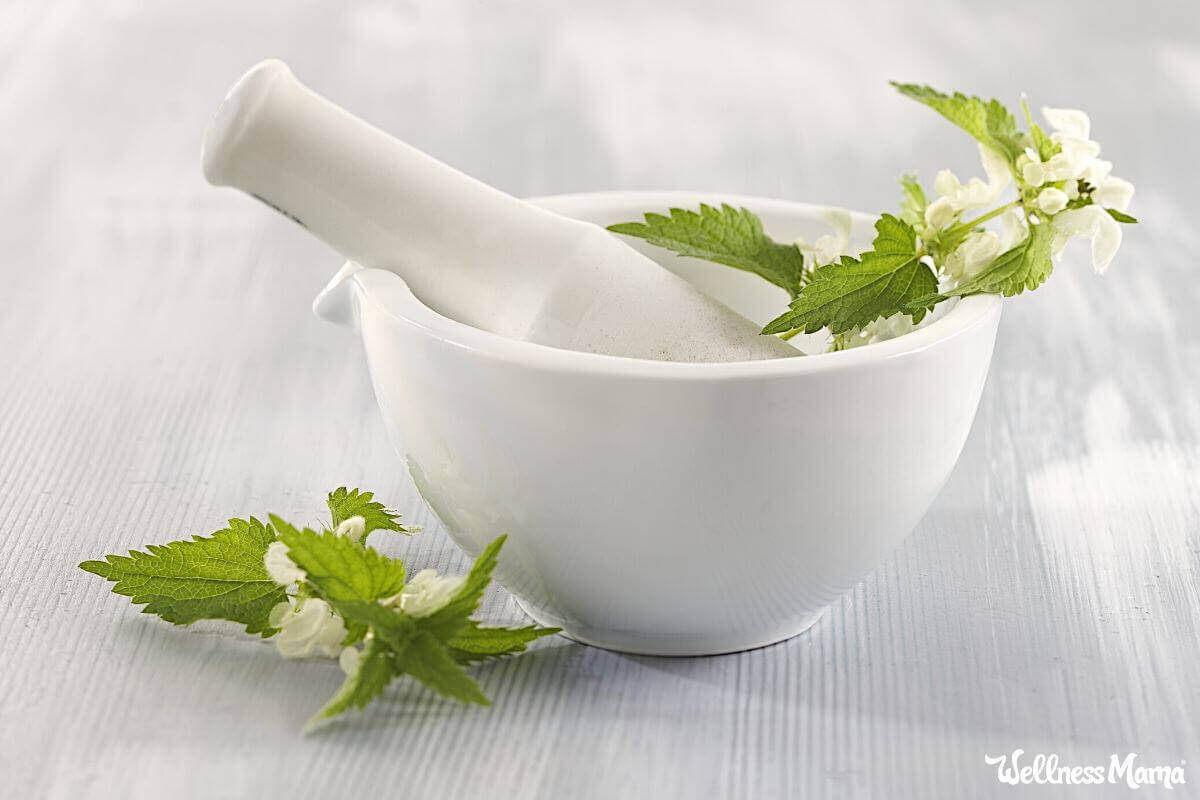 8 Benefits of Stinging Nettle (& How to Use It in Tea, Tonics, Haircare & More)