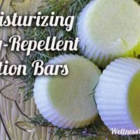 Homemade all natural bug repellent lotion bars