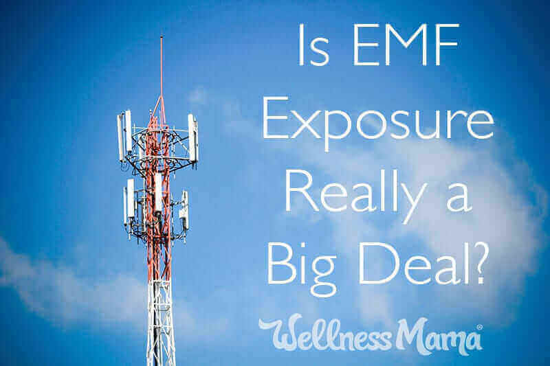 Is EMF Exposure Really a Big Deal?