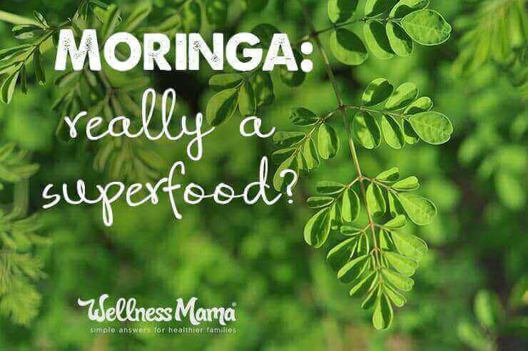 Is Moringa Really a Superfood?