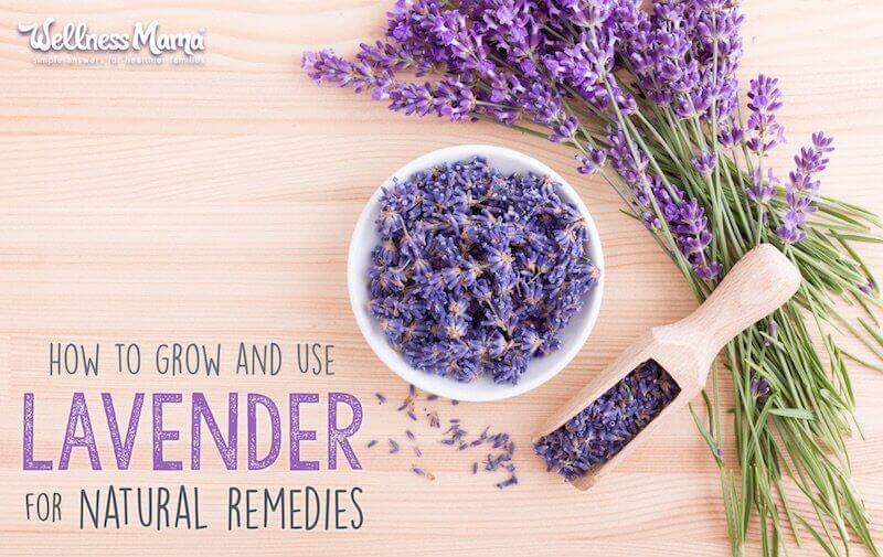 How to Use Lavender (Grow It, Make Natural Remedies & More)