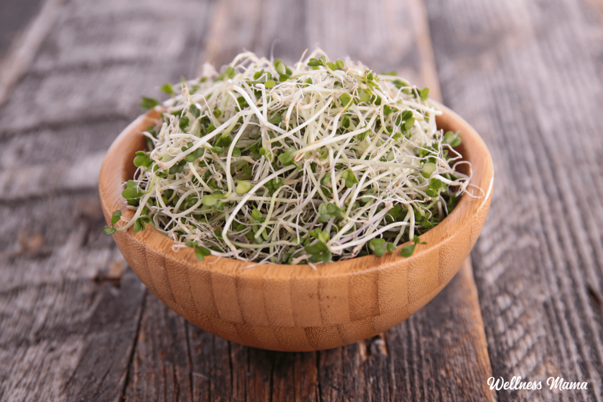 How to Grow Broccoli Sprouts (& Why We All Should)