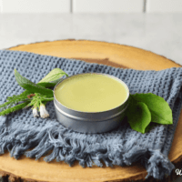 homemade healing salve