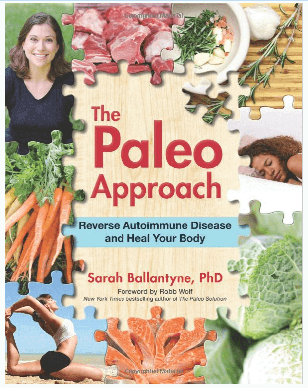 The Paleo Approach Book Review