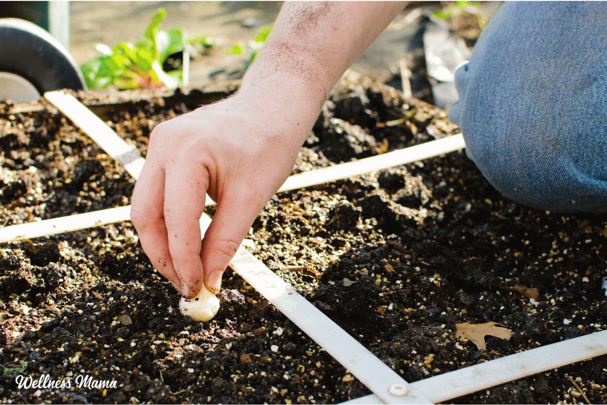 How to Get Started with Square Foot Gardening (and Why)